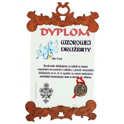 DYPLOM WZOROWEJ DRUŻBINY SP