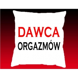 PODUSZKA DAWCA ORGAZMÓW